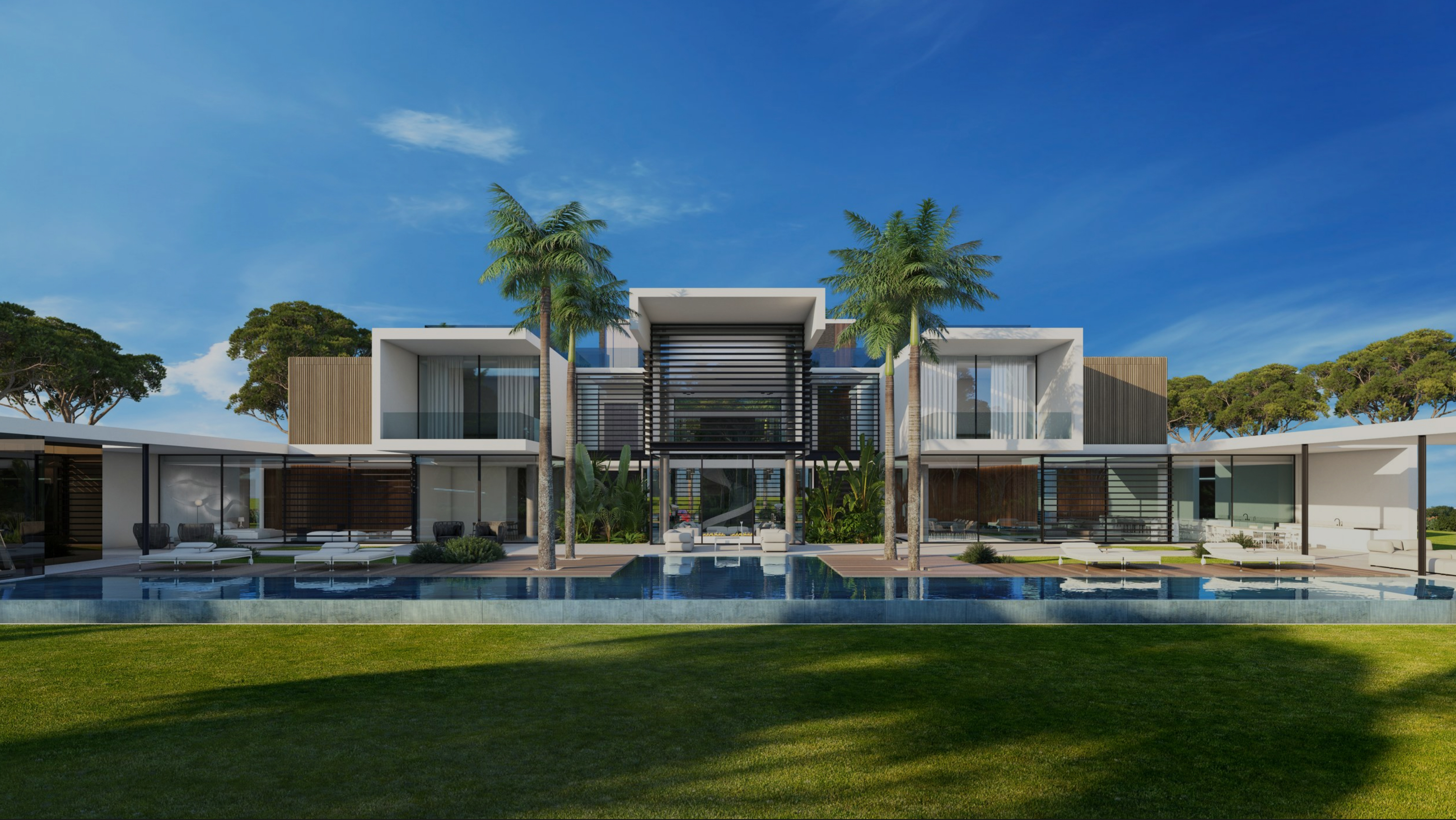 Modern luxury residence with pool and palms